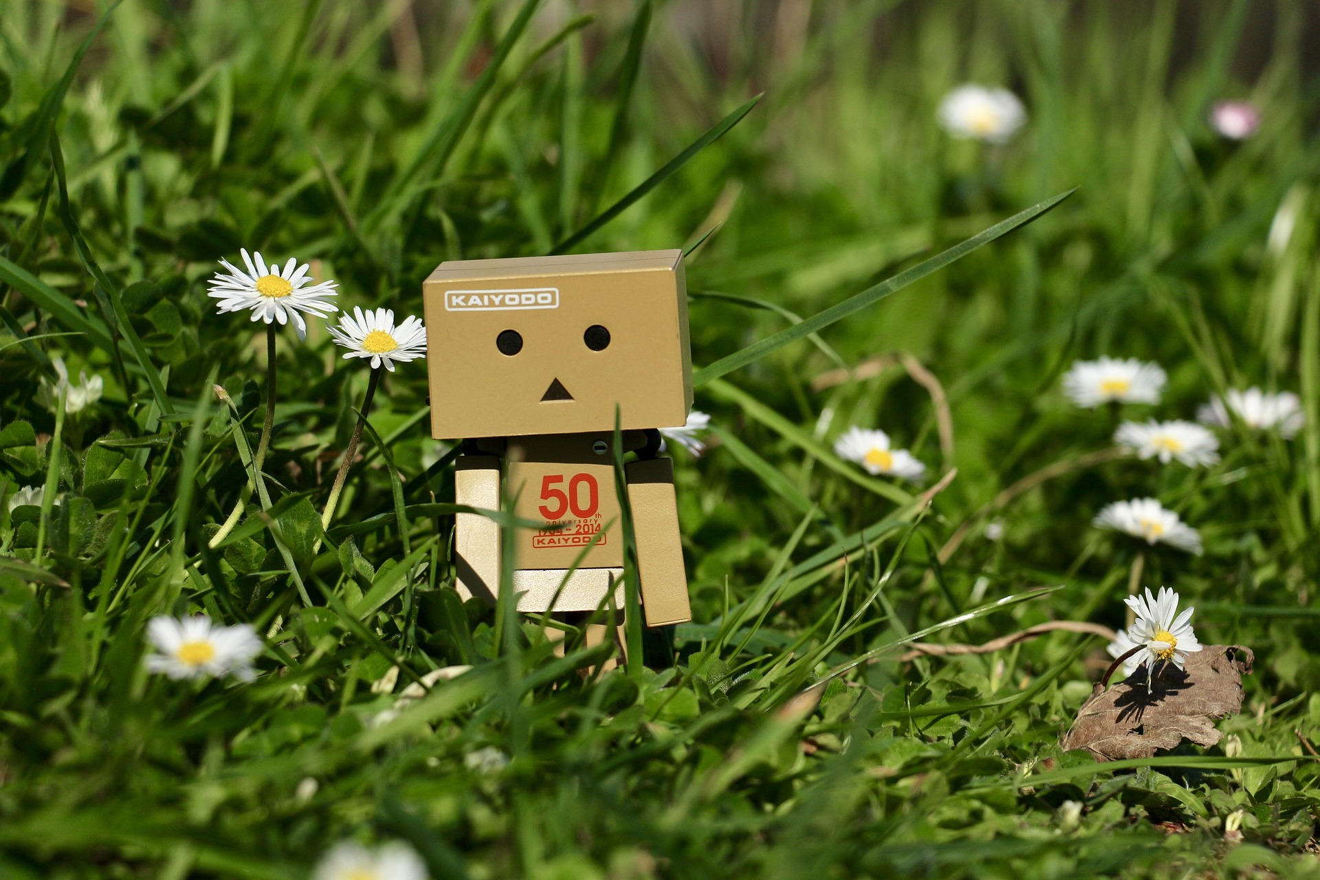 Happy Carton Man